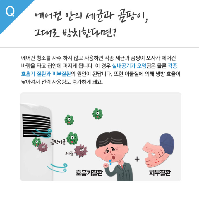 애니크린 이미지