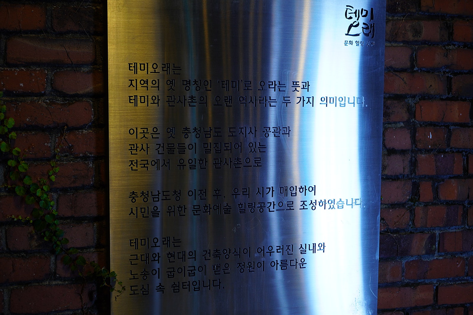 별빛인생 이미지