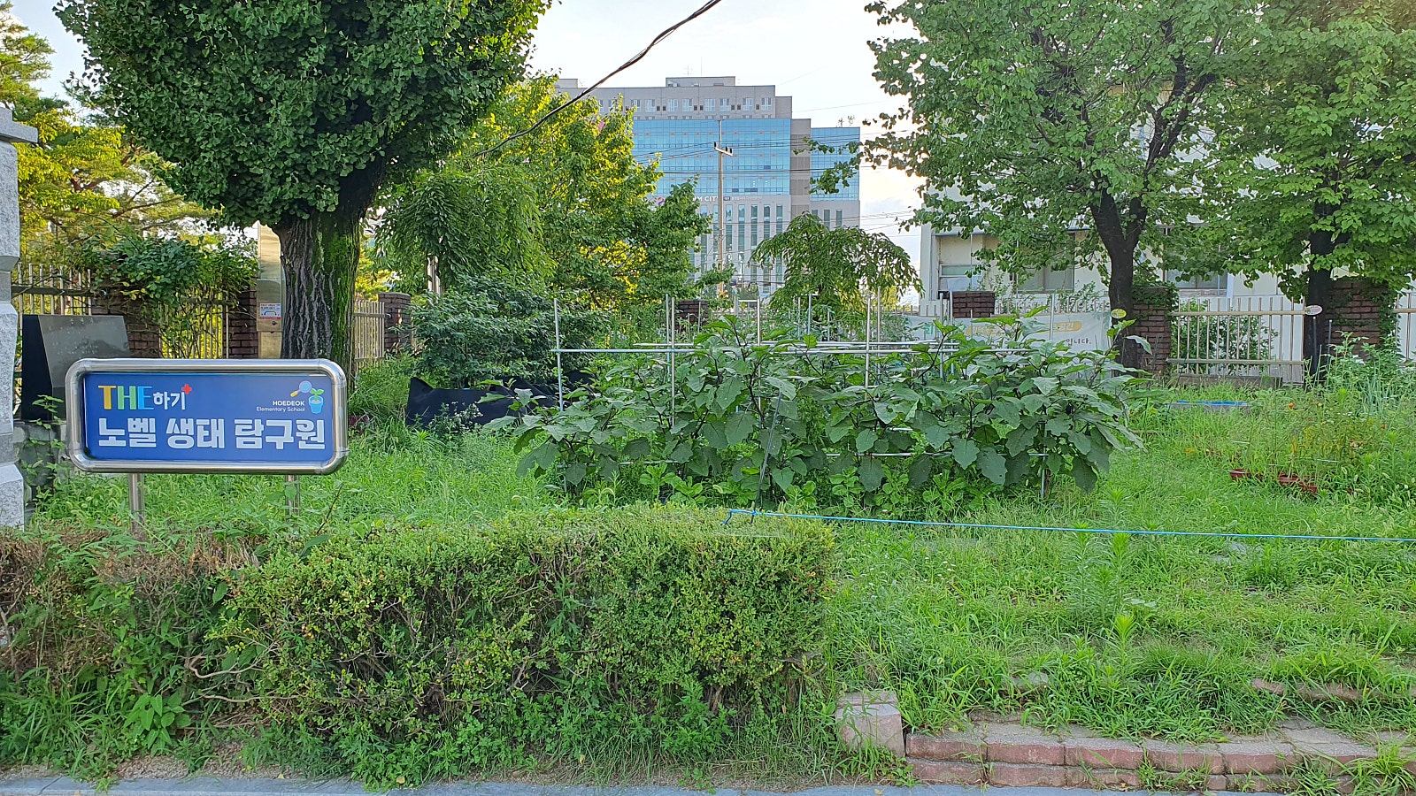 회덕초등학교 이미지