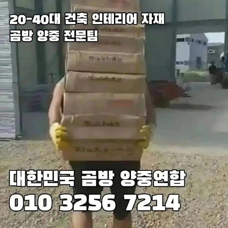 대중도기 이미지