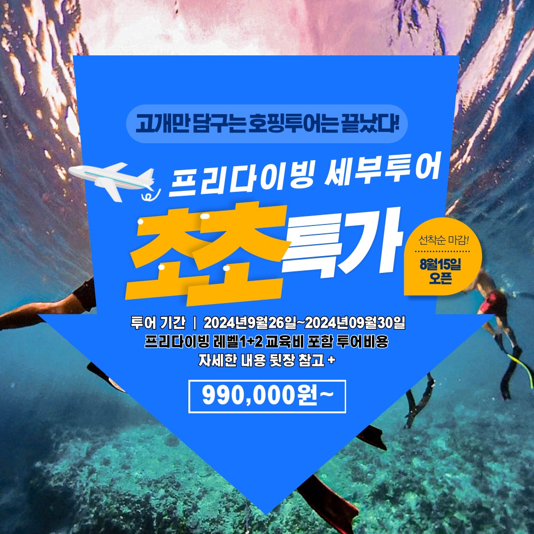 블루웨일 여행사 이미지