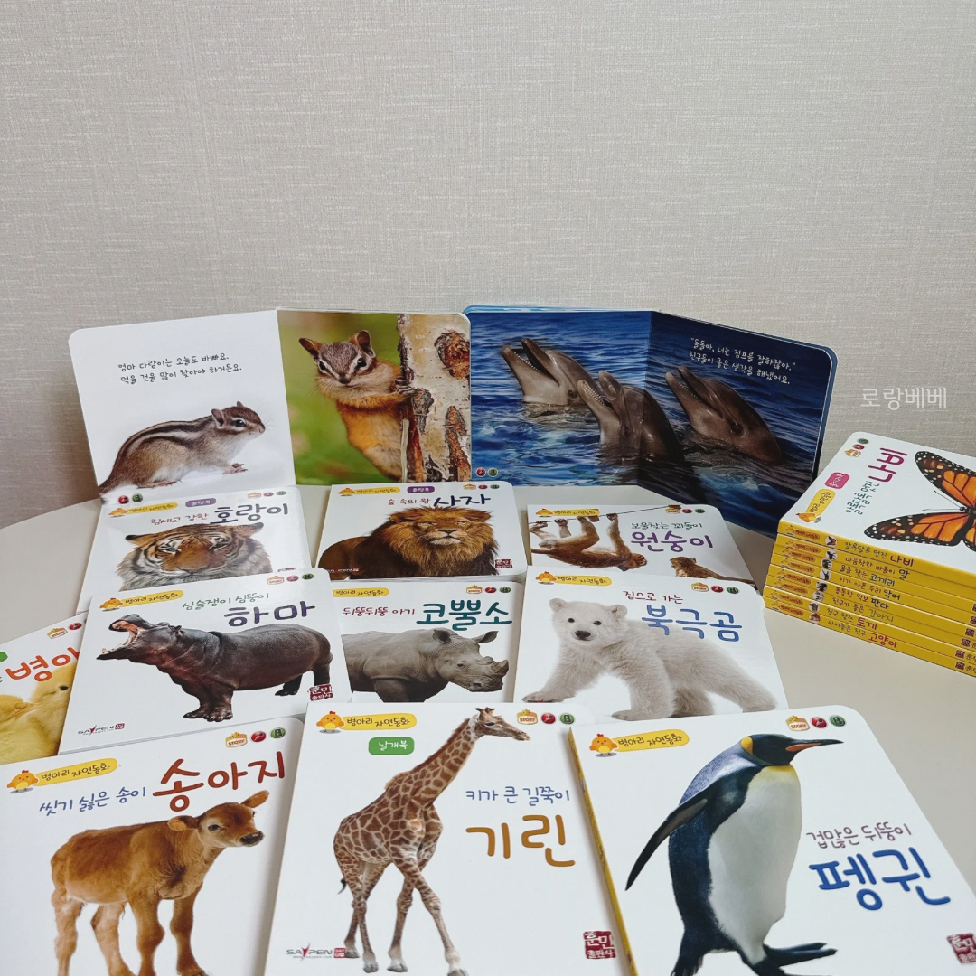 동화공구 이미지