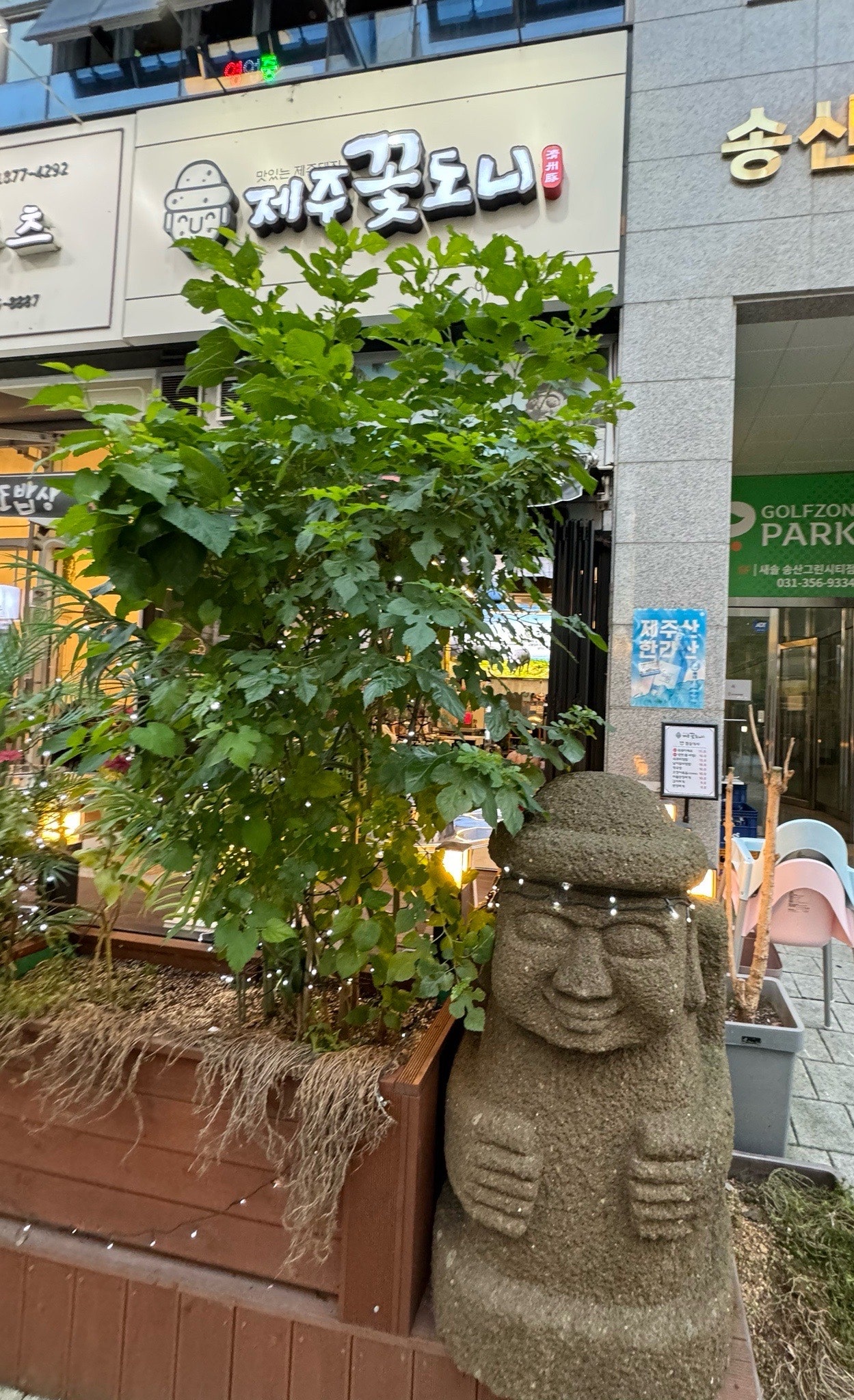 제주꽃도니 이미지