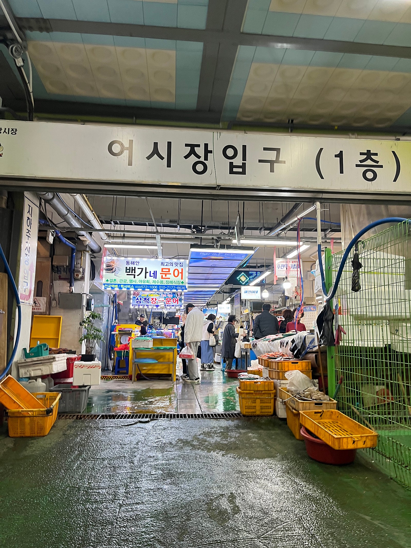 삼척SOS통통센터 이미지