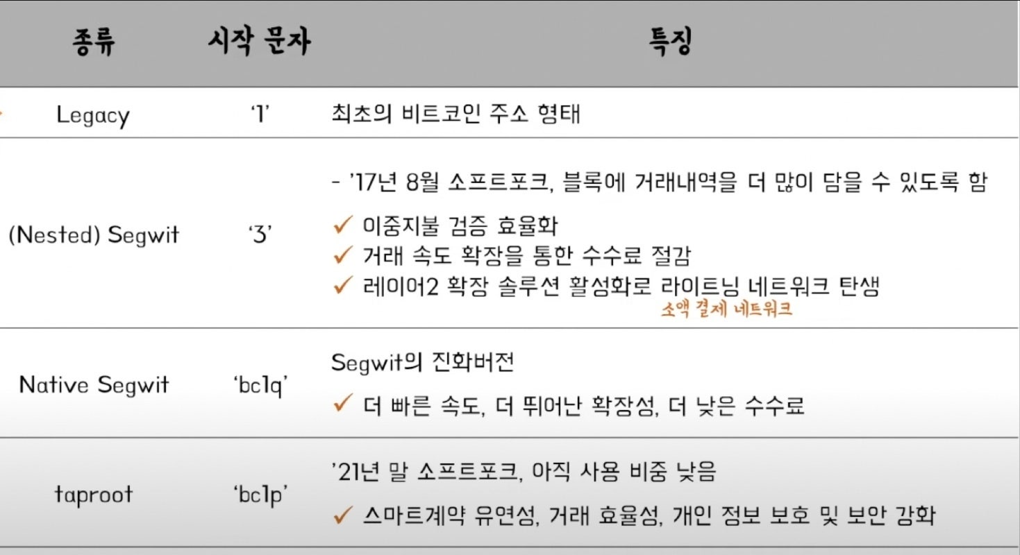 비트위트 이미지
