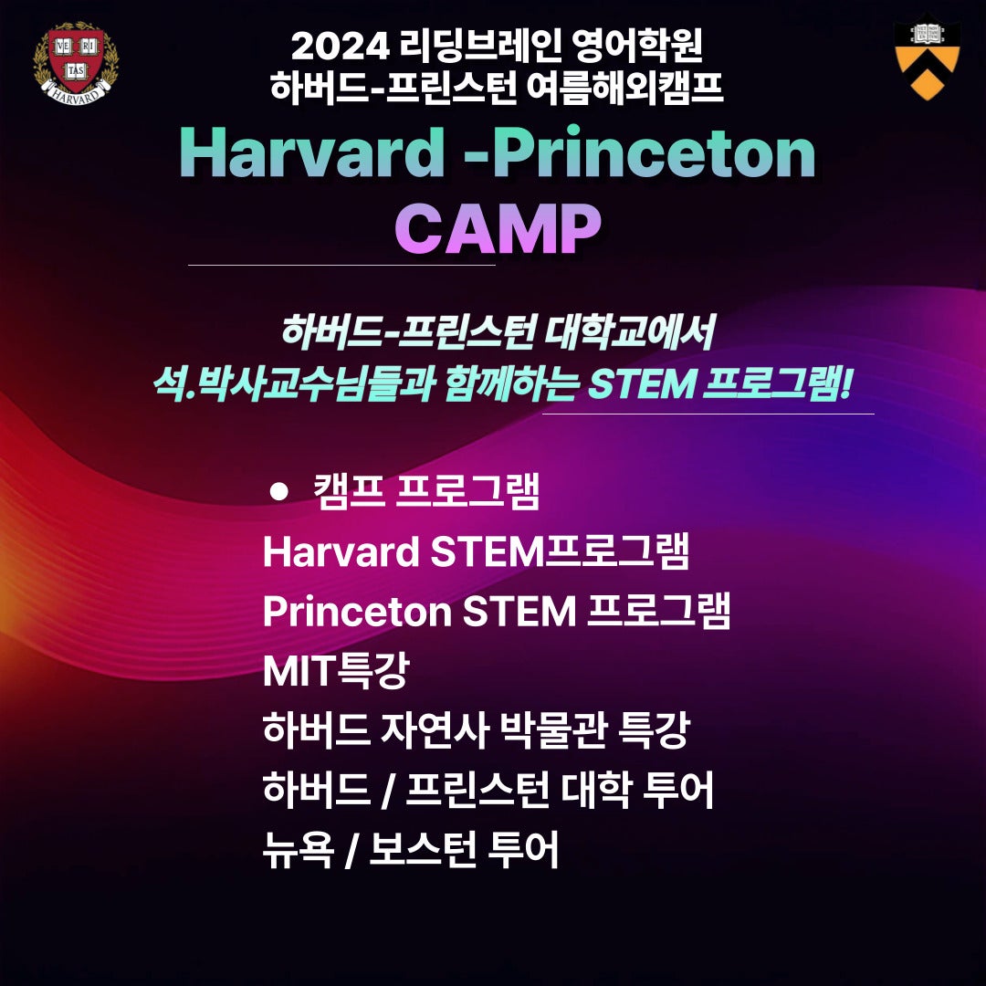 리딩브레인 이미지