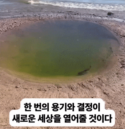 [피플라이프로얄스타사업단] 법인영업 경영컨설턴트에 도전하세요. - 사람인