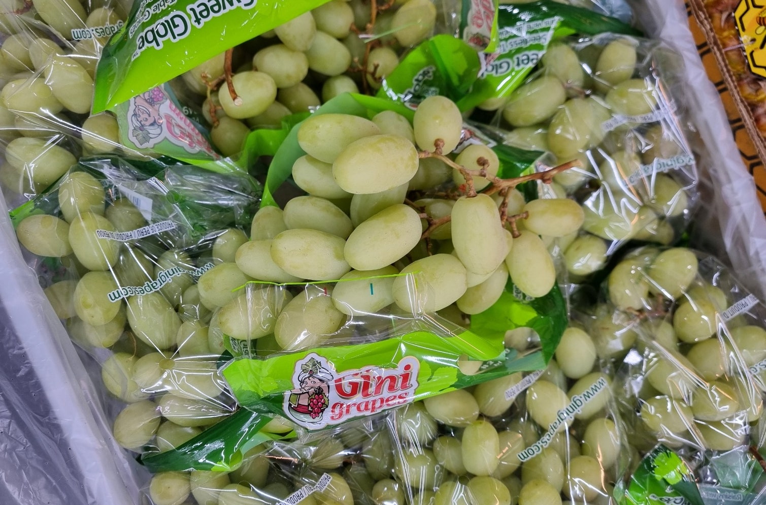 블랙야채 이미지
