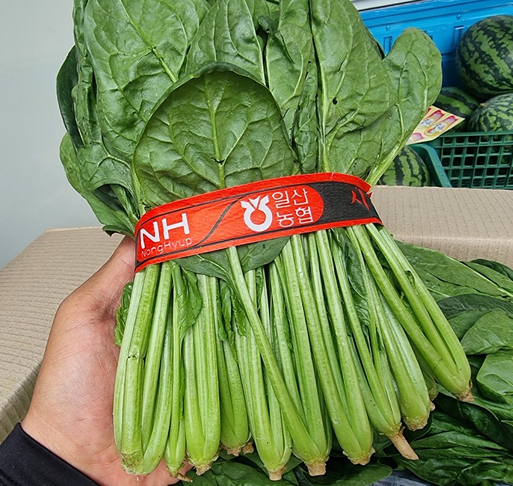 귤이네과일;야채 이미지