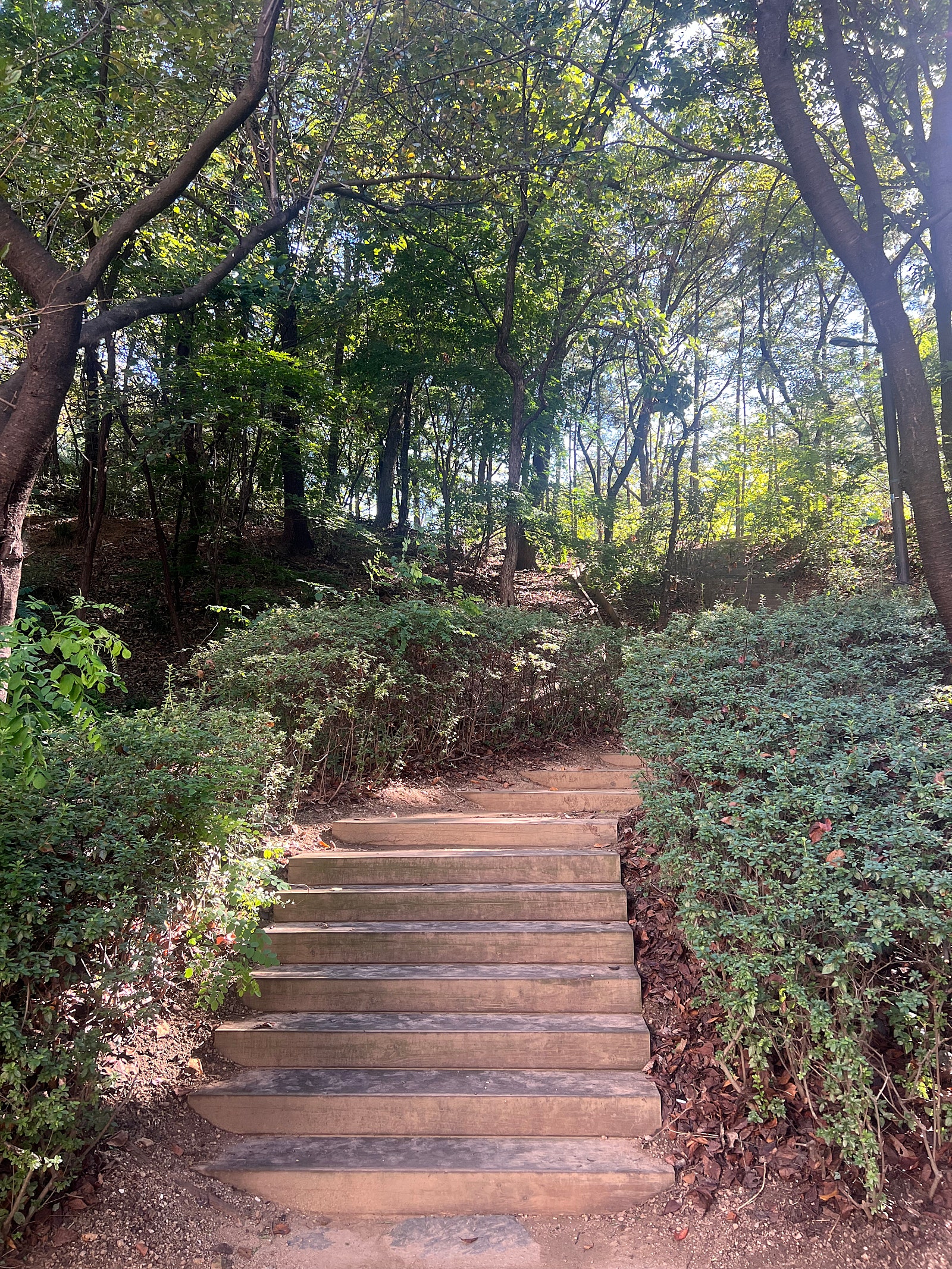 농협하나로마트방이역점 이미지