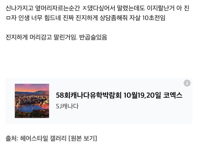 겔러리헤어 이미지