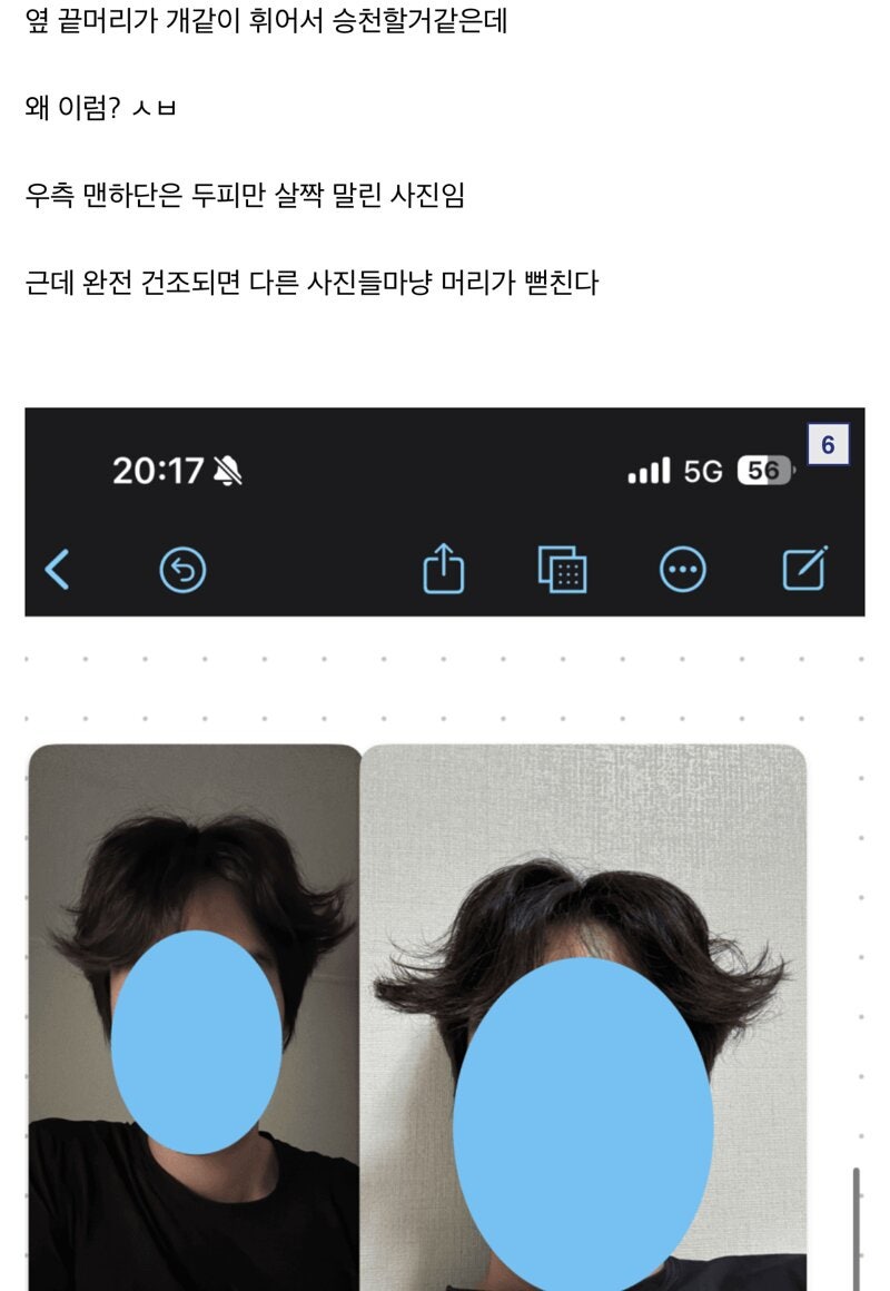 헤어갤러리 이미지