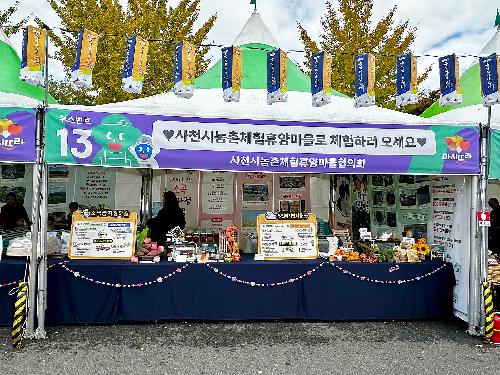 다슬기초량체험휴양 이미지