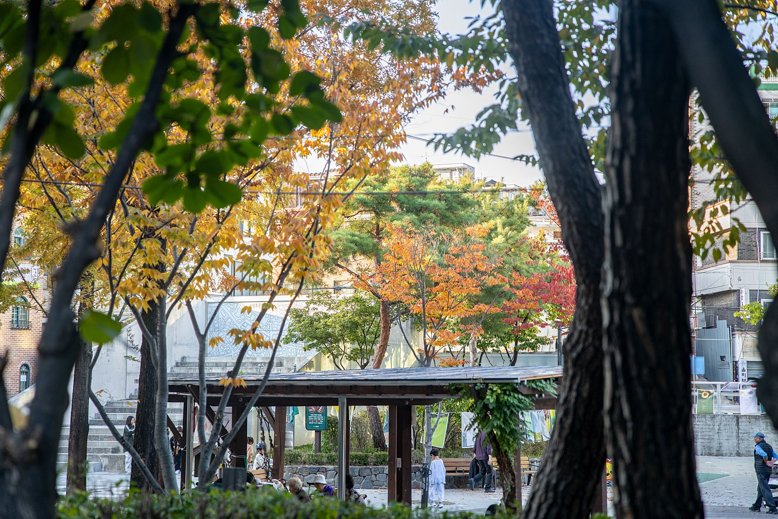 삼양세탁소 이미지