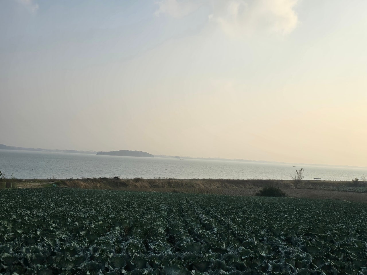 서해랑길 24코스 이미지