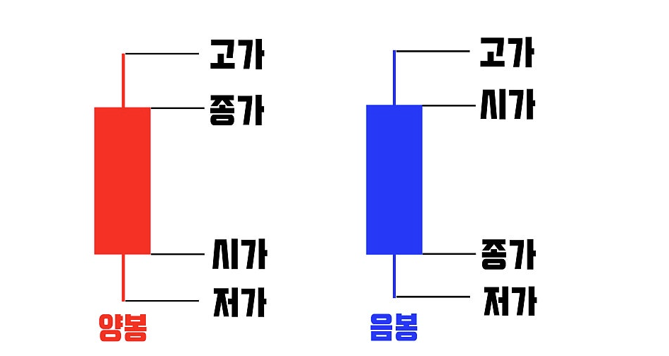 [정보공유]제일 기초 공유
