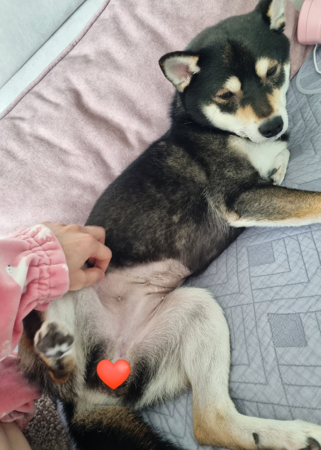 복희슈퍼 이미지