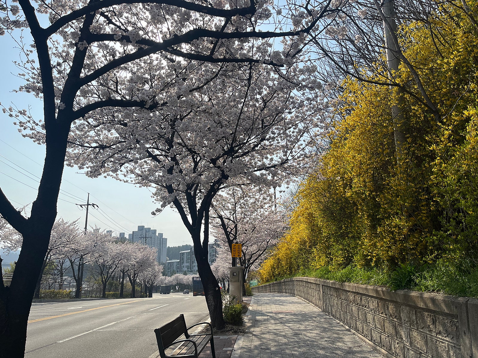 삼척IC 이미지