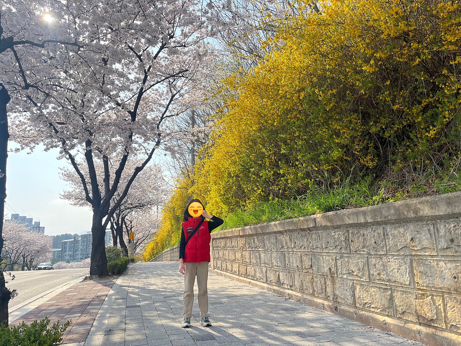 삼척IC 이미지