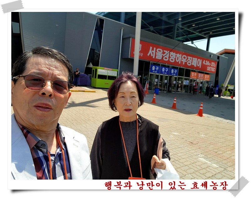 쎄텍 이미지