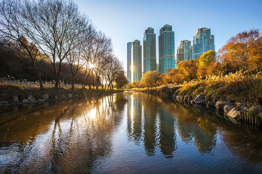 월셋집부터 강남입성+자산 60억까지 딱 10년 걸렸습니다