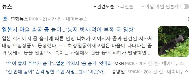 곰 세력 등장과 비트코인