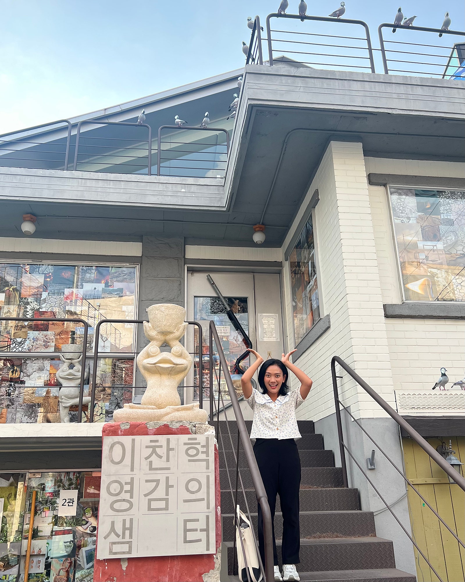 브로콜리 지역정보 관련 사진 2