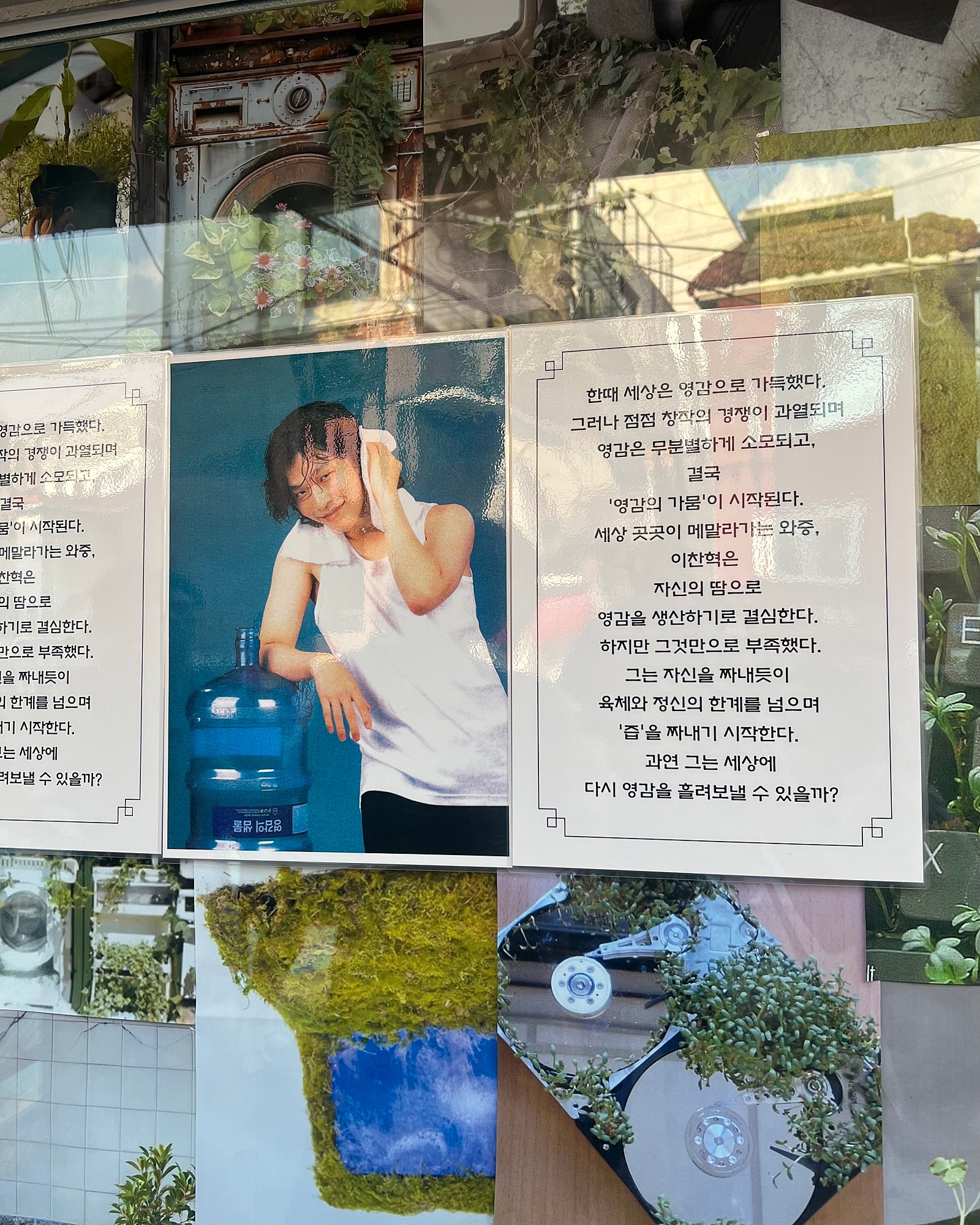 브로콜리 지역정보 관련 사진 4