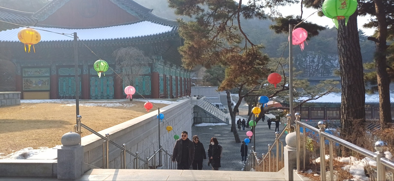 법인자연심 이미지