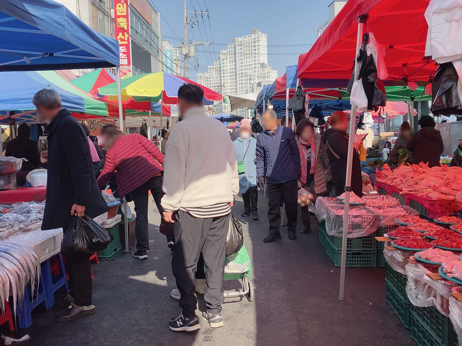 탄지갤러리 이미지