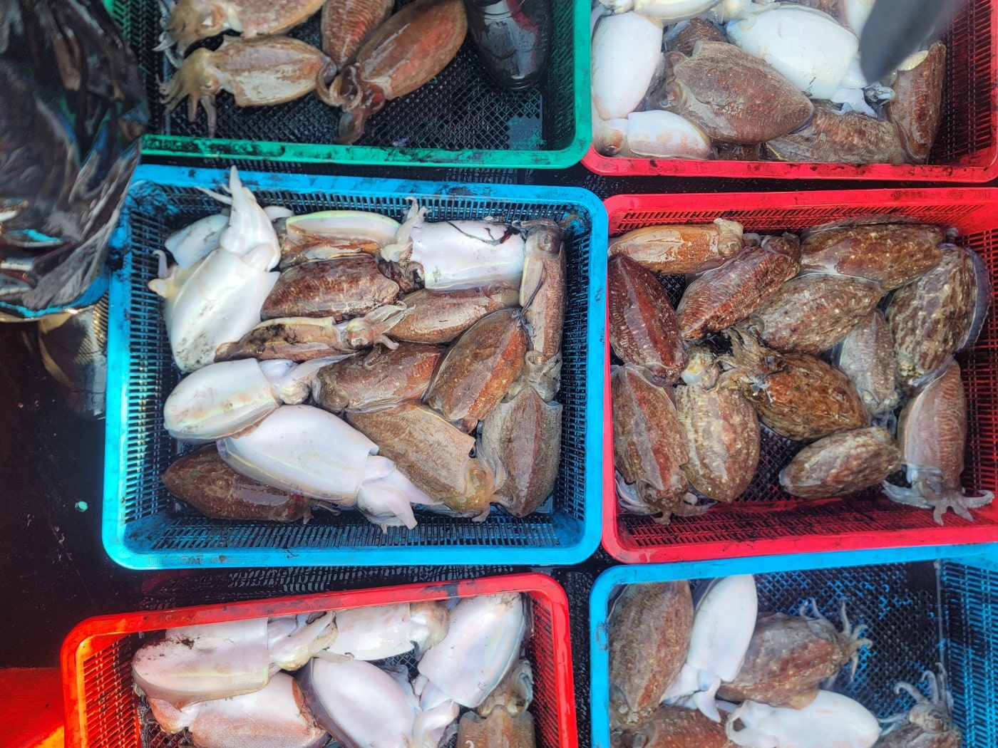 선미장원 이미지