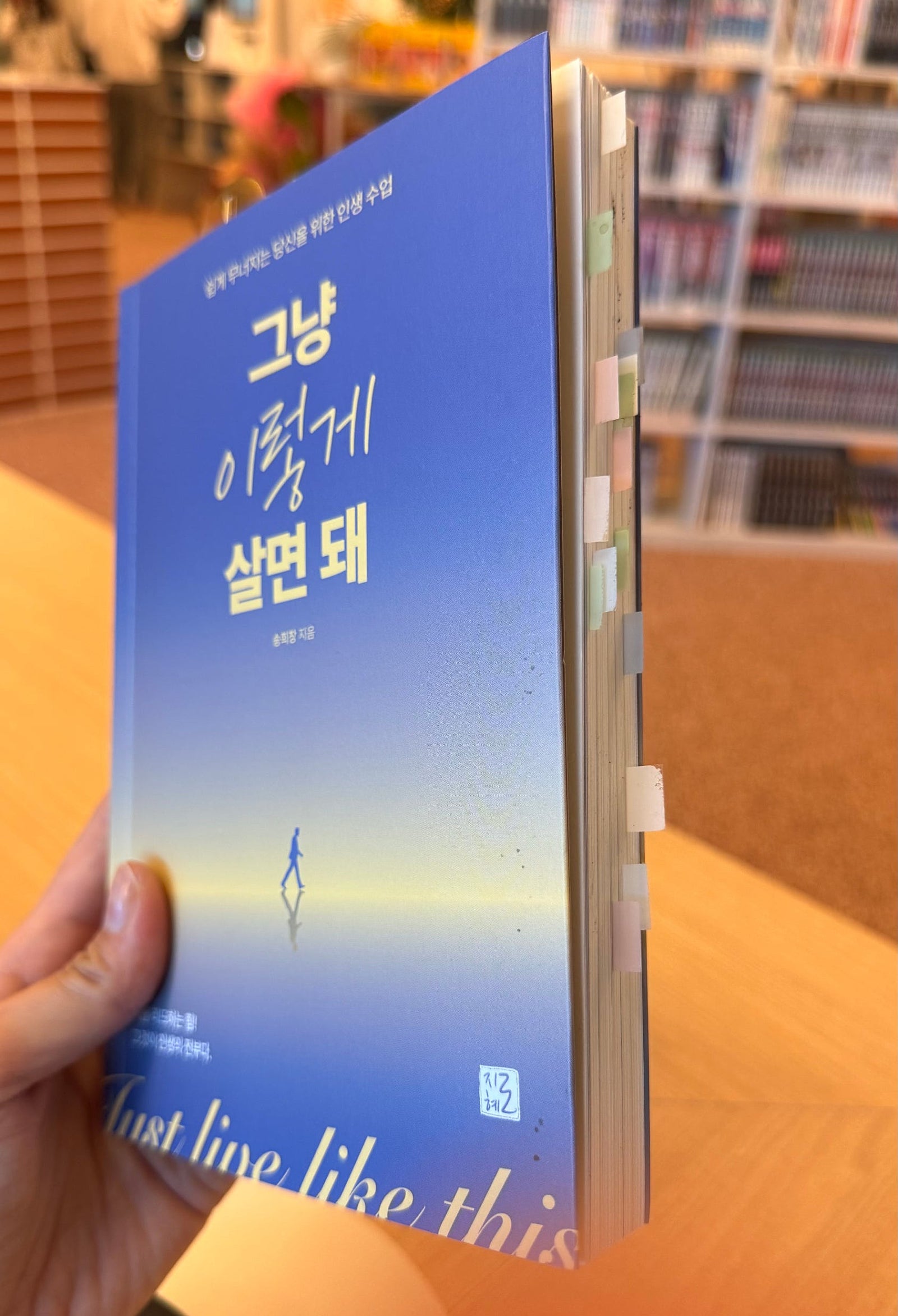 내가 무너지려 할 때 나를 잡아준 책..  “그냥 이렇게 살면 돼”