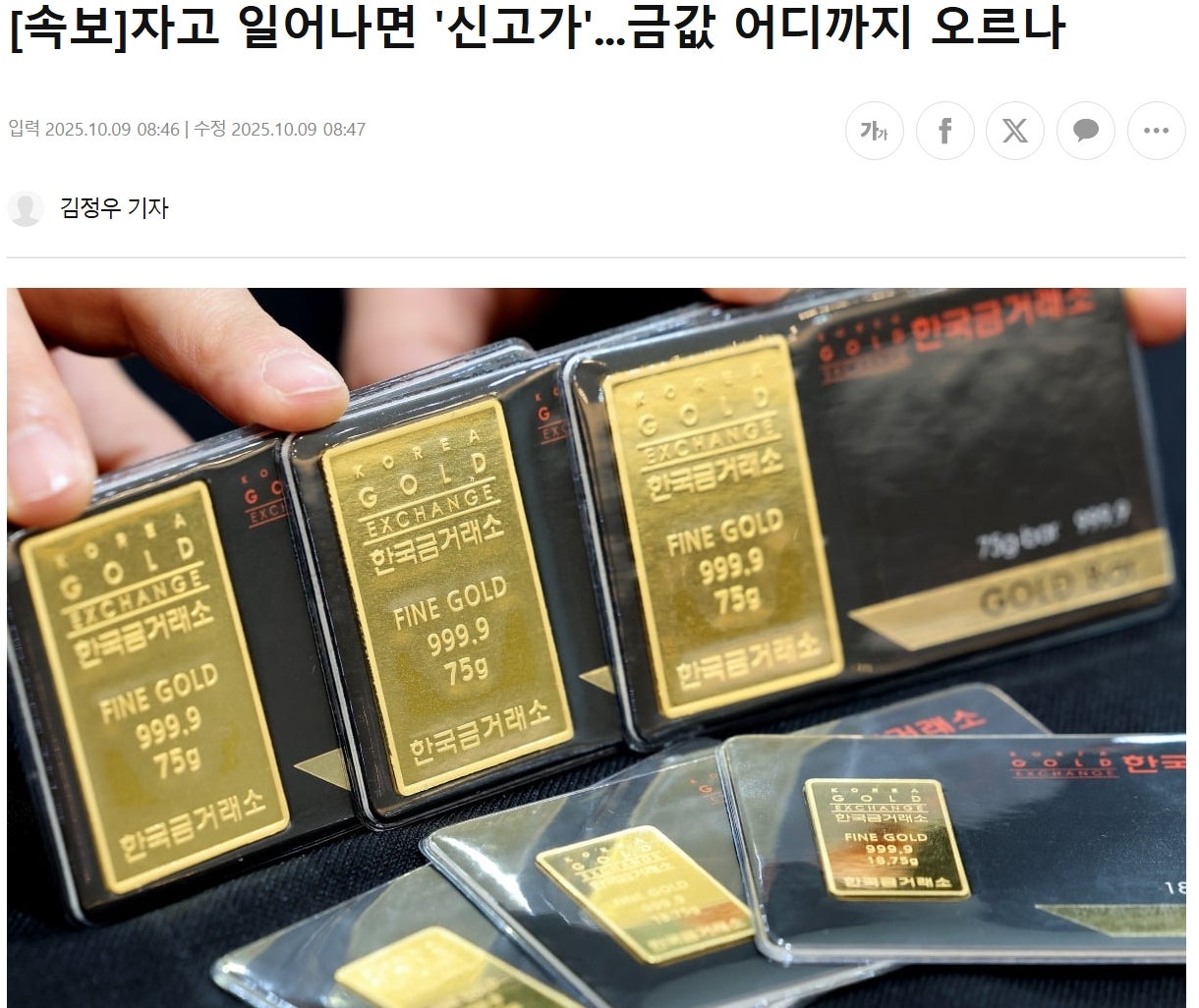 금, 주식, 코인 연일 최고가 경신