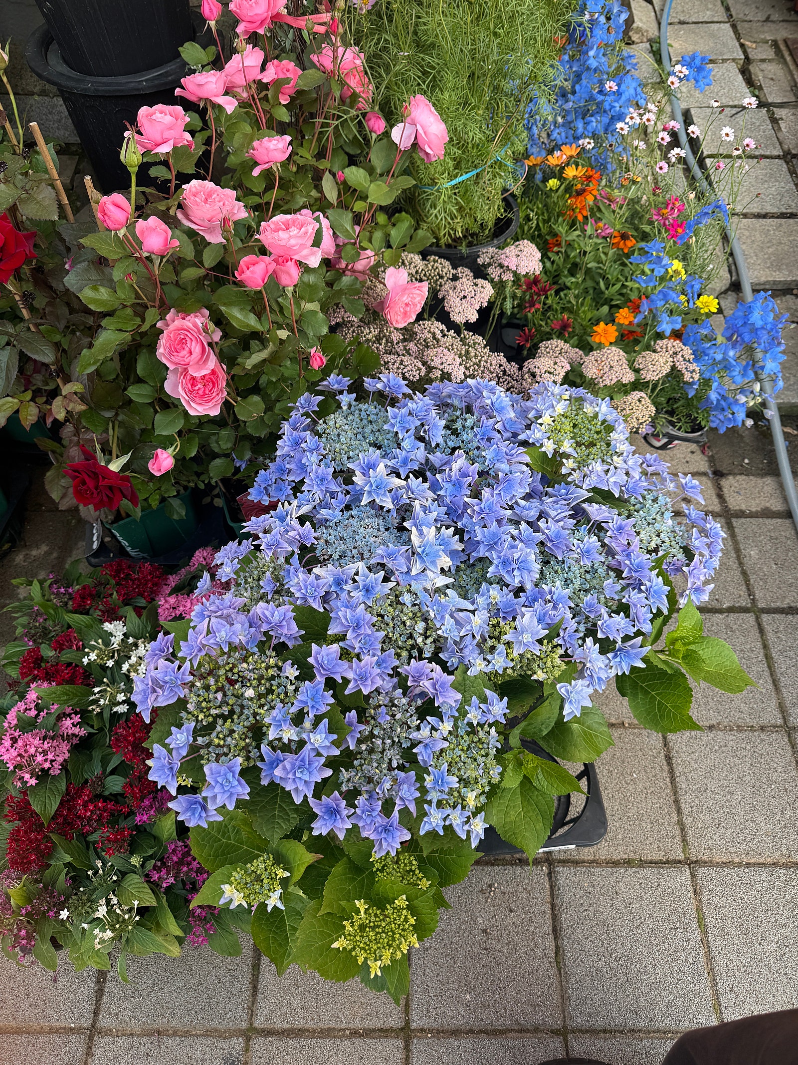 오랜만입니다.