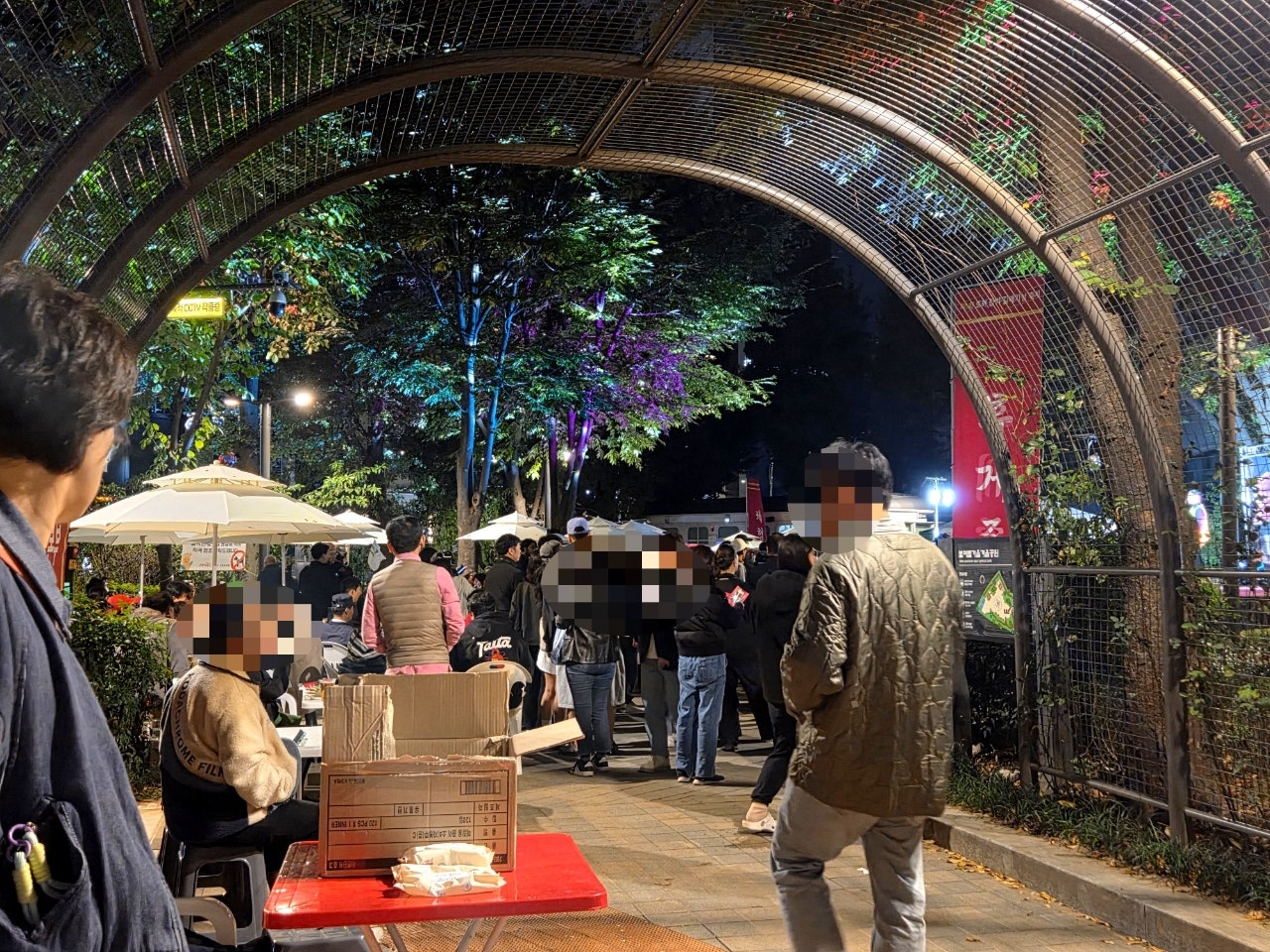 브로콜리 지역정보 관련 사진 13