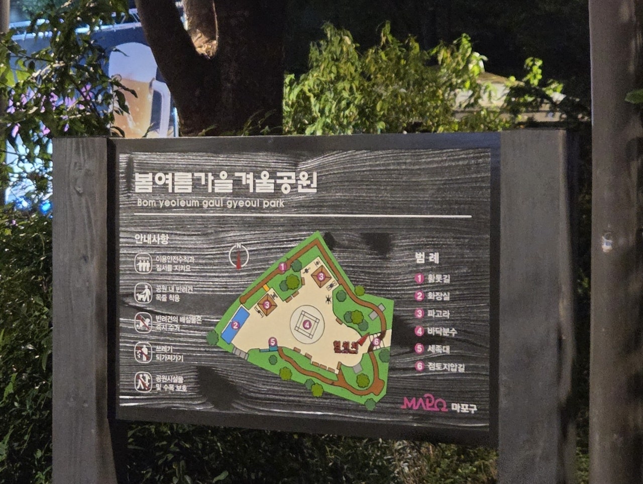 브로콜리 지역정보 관련 사진 3