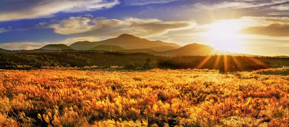동생에게 아파트 추천했더니 5600만원으로 2억 벌었어요 [주간 인기글]