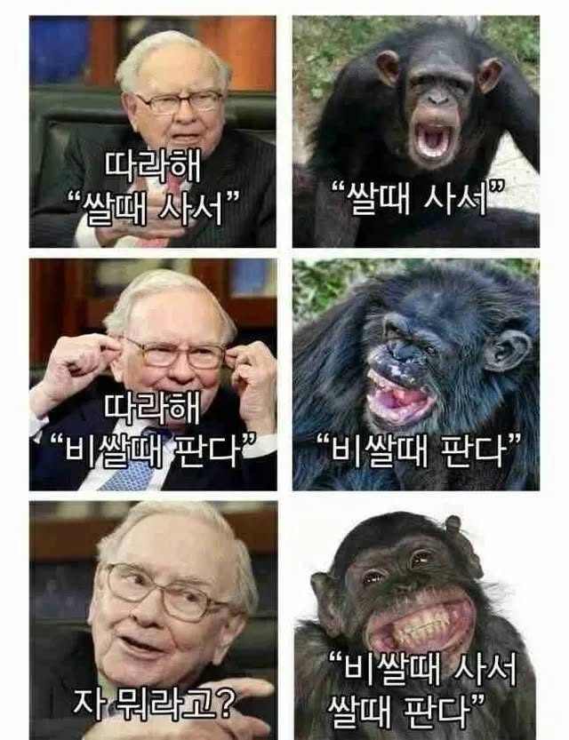 [정보공유]기회