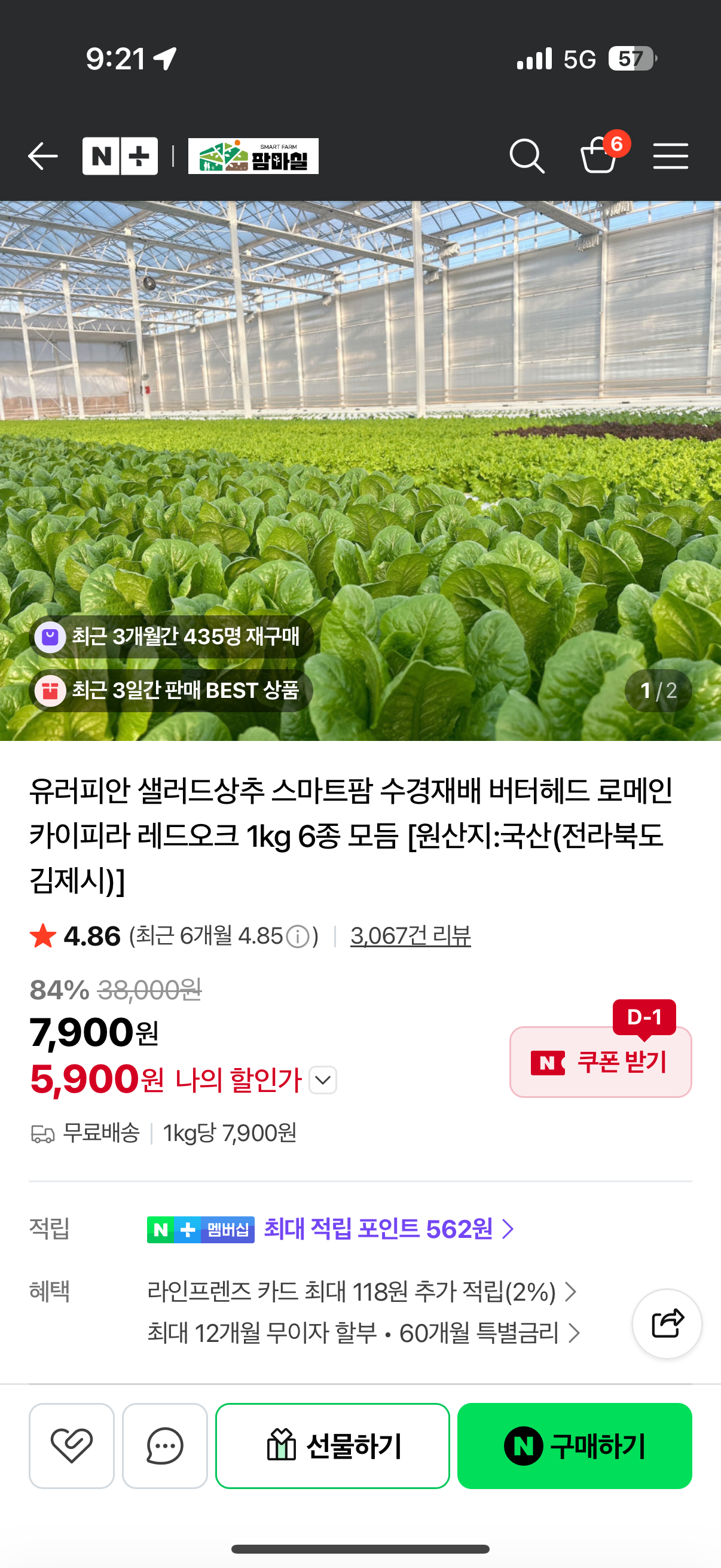 핫딜 이미지