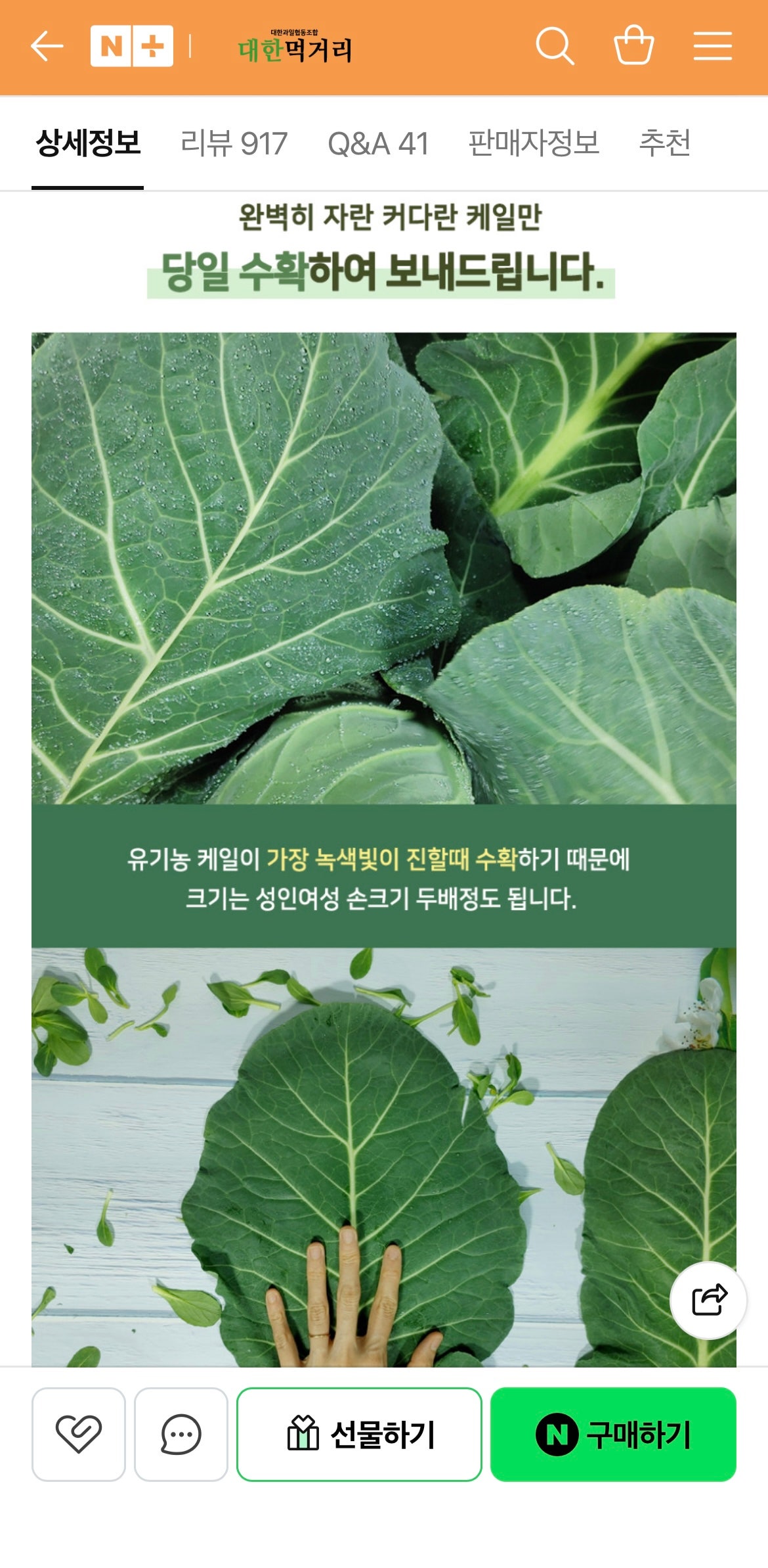 핫딜 이미지