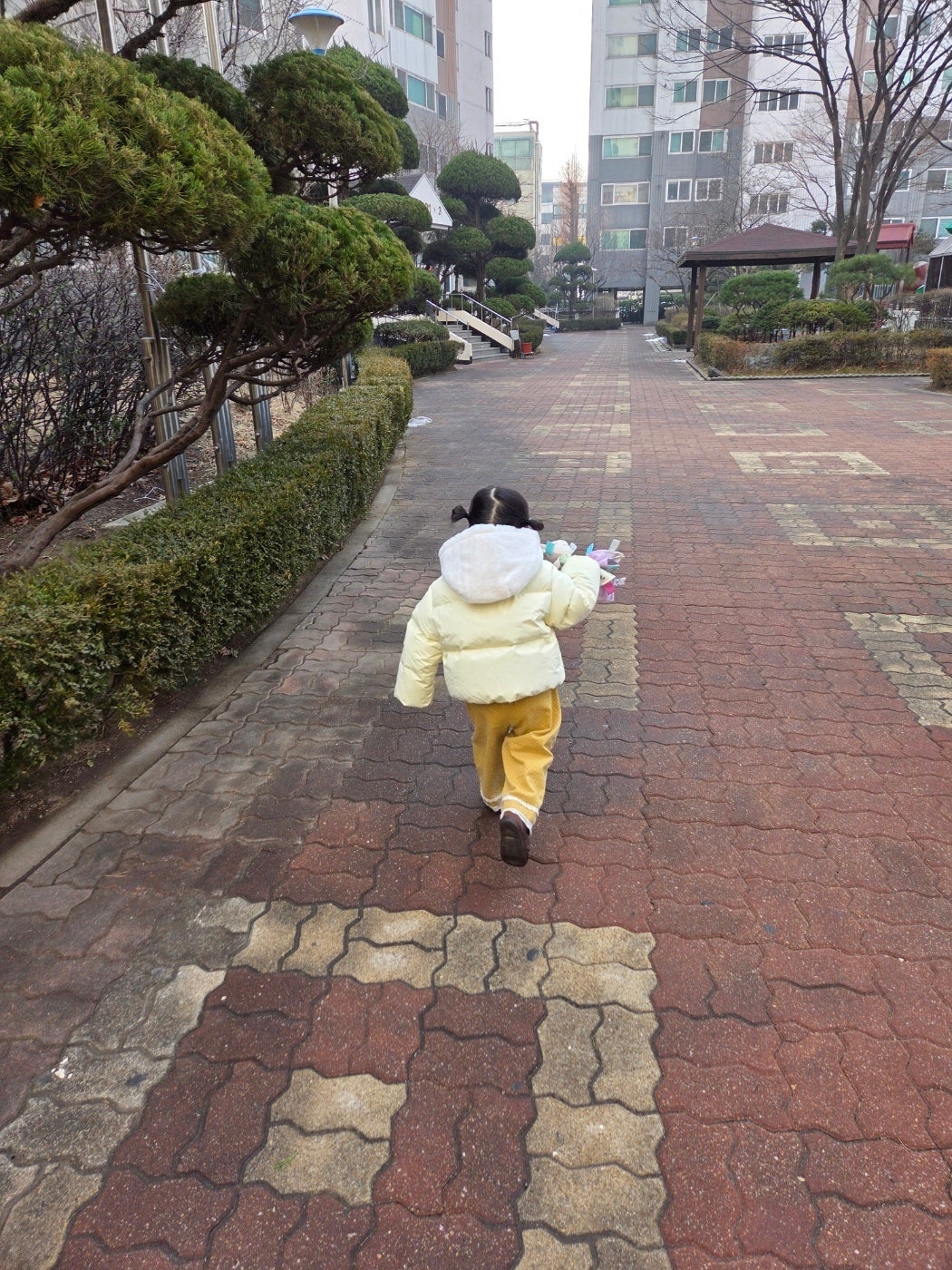 핫딜 이미지