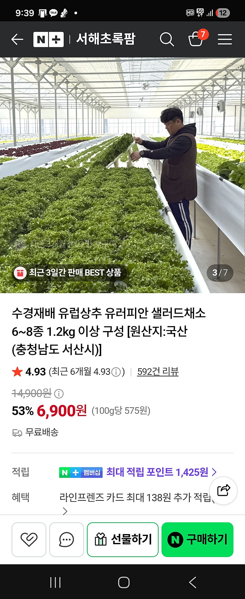 유러피안 샐러드