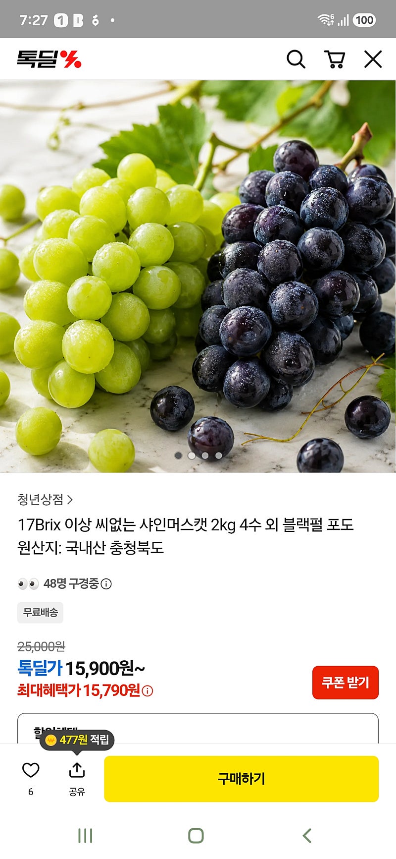 씨없는 샤인머스캣