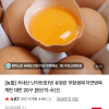 네이버) 과일꾼 국내산 난각번호1번 유정란 대란 20구 6,960원