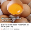 네이버) 과일꾼 국내산 난각번호1번 유정란 20구 7,040원 네멤무배!!