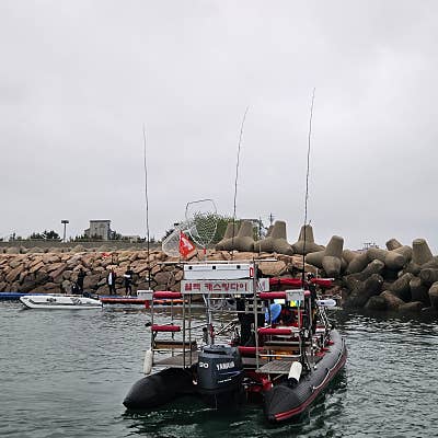 베이직마린 BM520 콤비보트