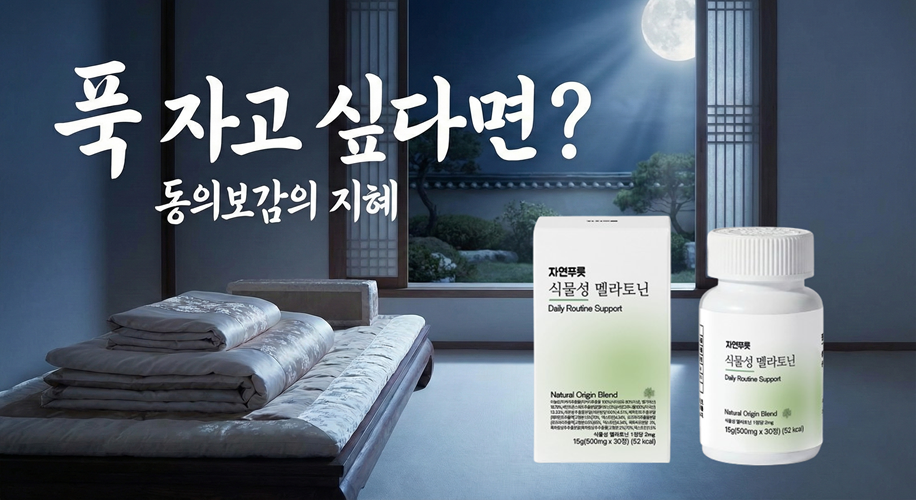 특별 혜택 안내 배너