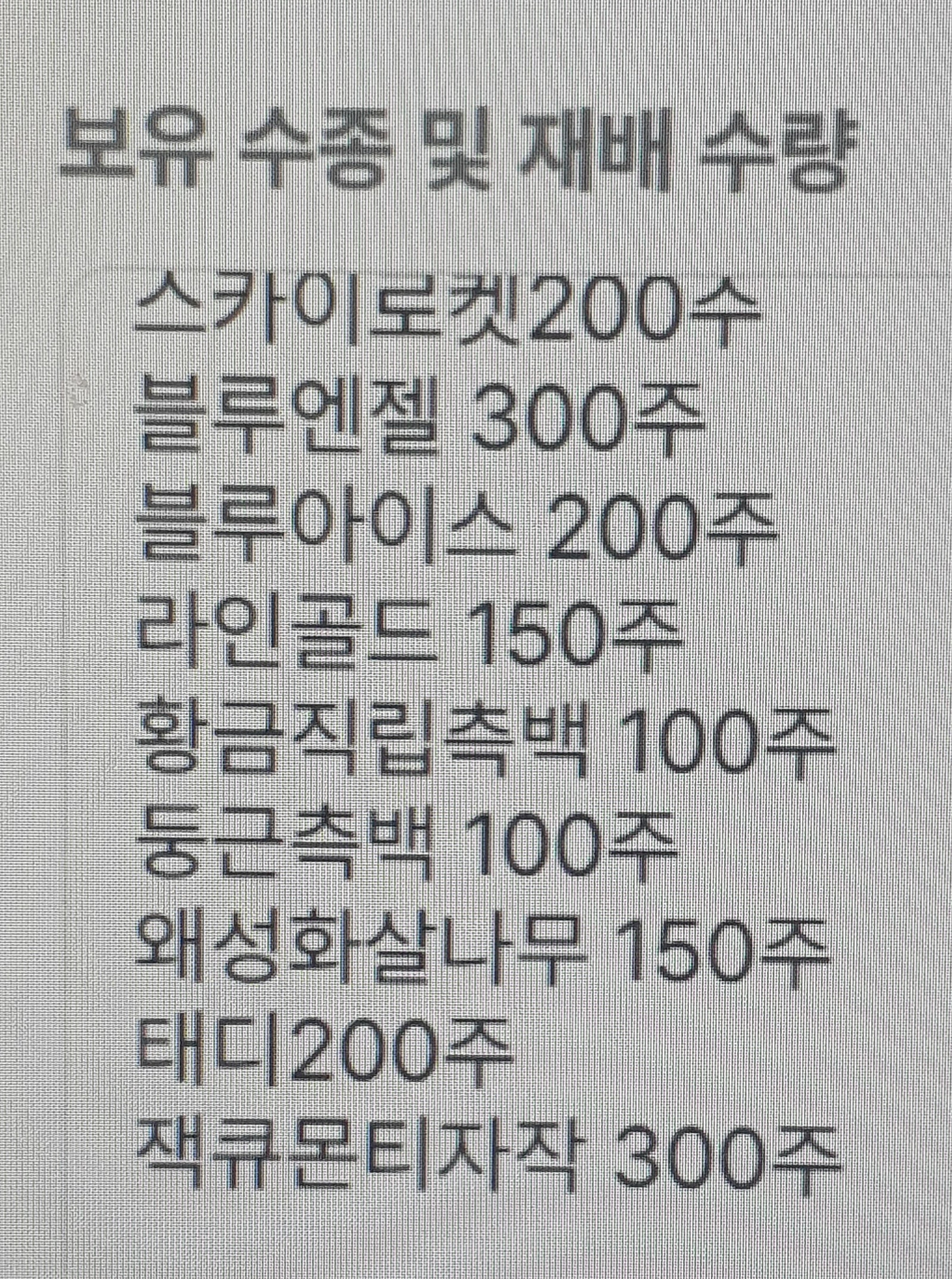 여러 줄로 정렬된 둥근 수형 조경수 재배 현장