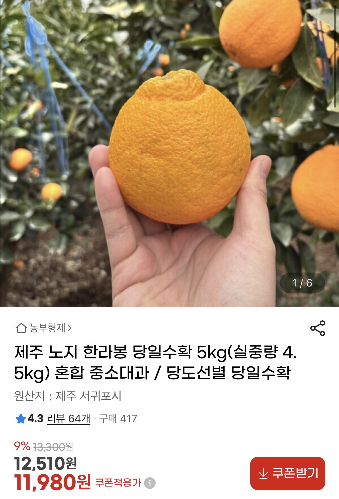 제주 노지 한라봉 당일수확 실중량 4.5kg 혼합 중소대과 11,980원