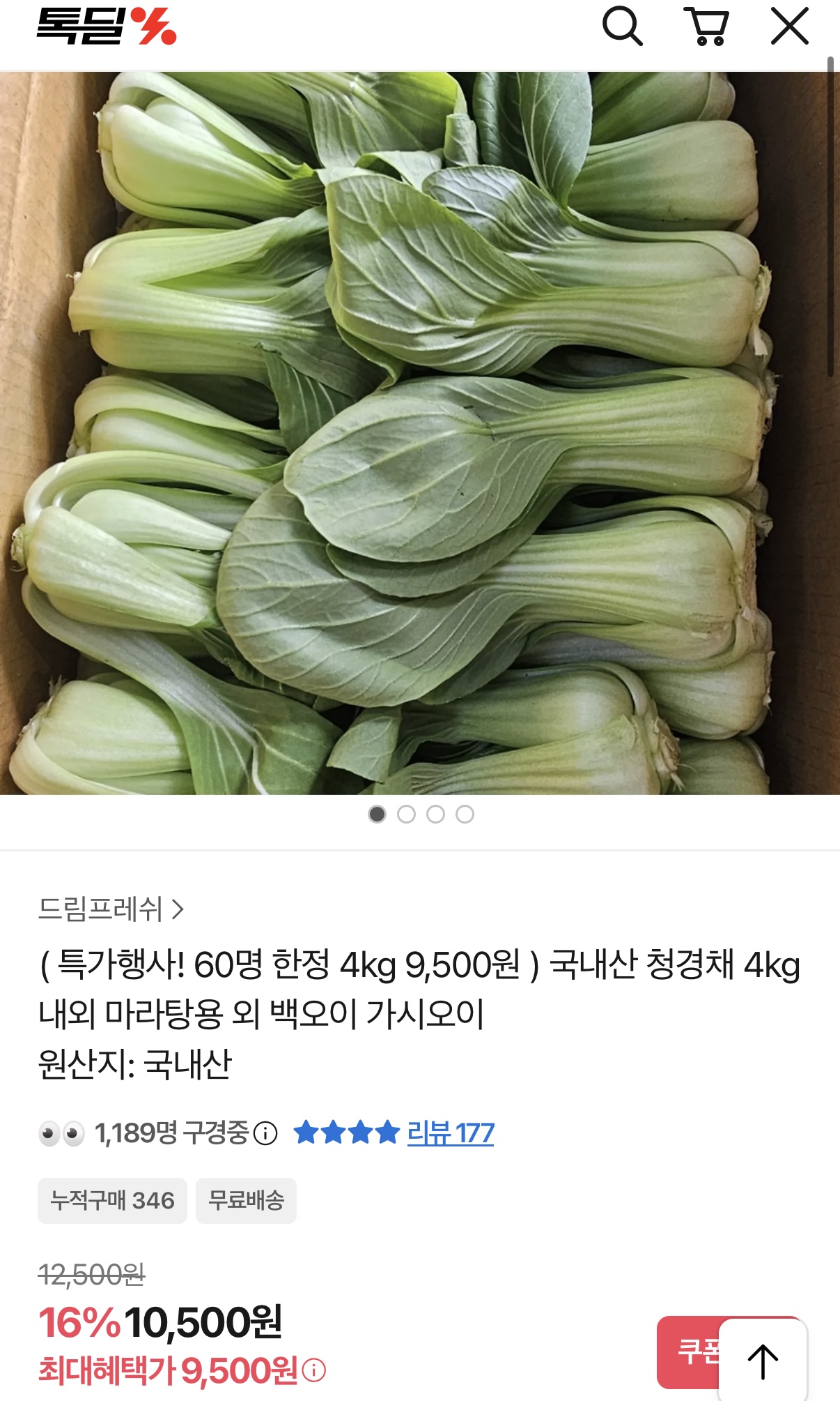 국내산 청경채 4kg 9,500원 무배
